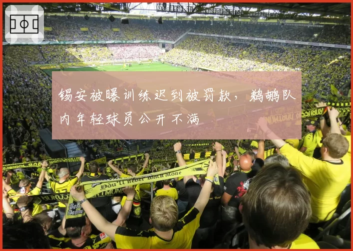 锡安被曝训练迟到被罚款，鹈鹕队内年轻球员公开不满