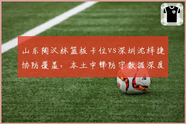 山东陶汉林篮板卡位vs深圳沈梓捷协防覆盖，本土中锋防守数据深度剖析